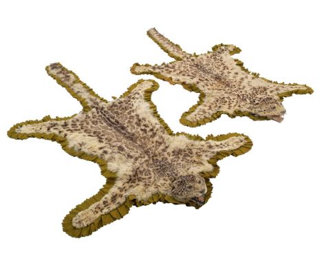 Taxidermy: A Pair of Snow Leopard Skin Rugs (Panthera uncia), circa 1920, Himalayas, a pair of adult skin rugs with head moun