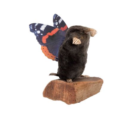 taxidermy Auctions Prices | taxidermy Guide Prices taxidermy Auctions Prices | taxidermy Guide Prices