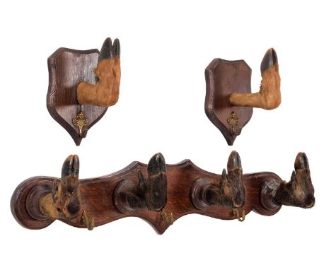 Animal Furniture: A European Wild Boar Trotter Mounted Coat Rack (Sus scrofa), circa early 20th century, a shaped oak wall br