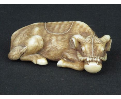 JAPANESE IVORY NETSUKE IN THE FORM OF A RECUMBENT OXEN or buffalo in rope harness. Two character signature to base. Early 20t