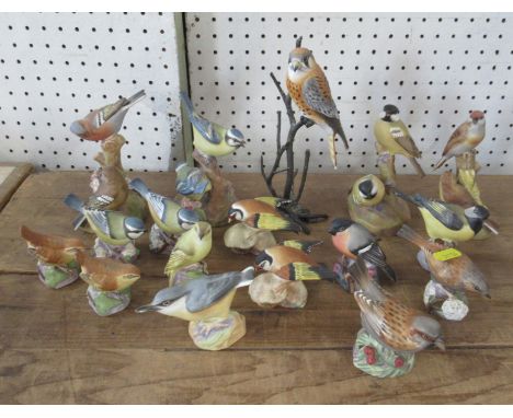 A collection of Royal Worcester bird models, to include double models and a porcelain and bronze example