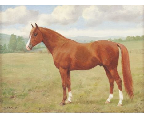 Frances Mabel Hollams (British 1877-1963)/Portrait of an Arab Horse/signed and dated '56/oil on canvas, 45cm x 60cm/see illus