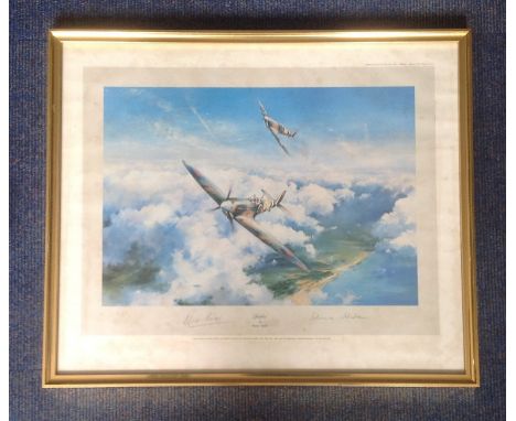 Battle of Britain 25x20 framed print titled Spitfire by the artist Robert Taylor signed in pencil by Douglas Bader and Johnni
