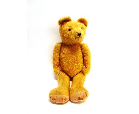 A LARGE ENGLISH GOLD MOHAIR TEDDY BEAR  with orange glass eyes and a vertically stitched nose, on a jointed body with buff fe