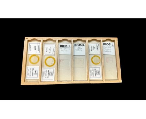 Vintage Wooden Box Of Prepared Microscopic Slides. Box contains 12 trays of 6 slides. Subject matter Types of Pollen, Protea 