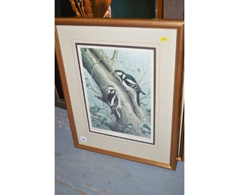 A limited edition coloured print - Great Woodpeckers, after Ralph Waterhouse, signed, edition no. 461/750.
