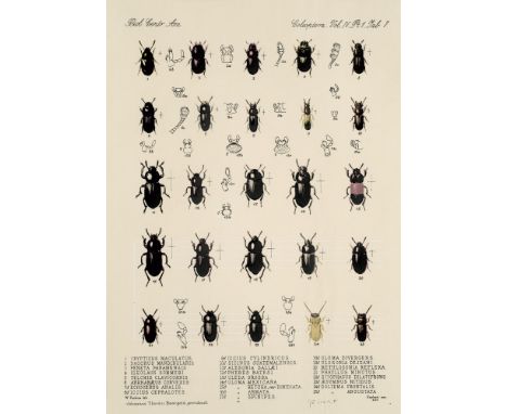 Fluxus George Brecht (1926 New York - 2008 Köln)Biol. Centr. Am. Coleoptera. Vol VI. PT. 1. Sab 7. (1980). Farbserigraphie au