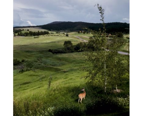 Stephen Shore (1947 New York)Bridger Canyon, Bozeman, Montana, July 17, 2018. 2018. C-Print auf Photopapier. 15 x 15 cm. Vers