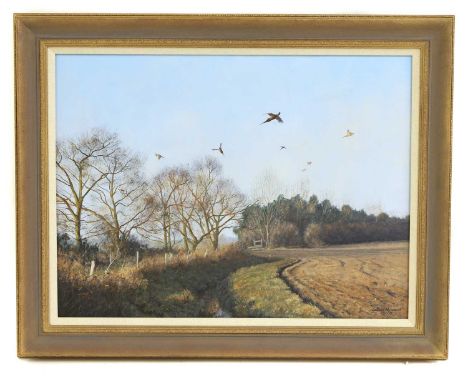 ▴ Julian Novorol (b.1949) Pheasants over a gate waysigned and dated 2001, oil on canvas, 40.5 x 61cm, framed 53 x 73cmConditi
