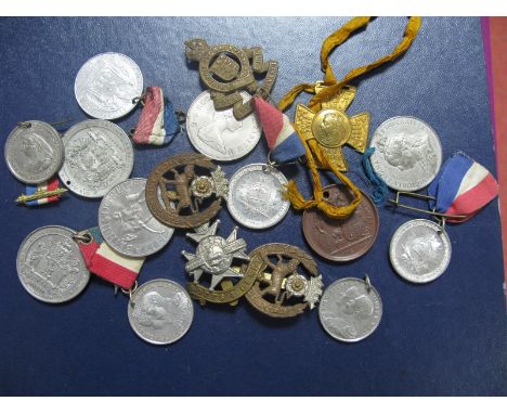 A Small Collection of Commemorative Medallions, (Victorian, Edward VII, George V, ER II and The Prince of Wales and Lady Dian