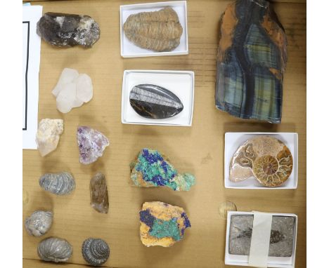 A small collection of fossil and mineral specimens with provenance