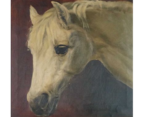 19th-early 20th Century Portrait of a Horse, oil on canvas, framed. Measurements 44.5 x 46 cm, frame 52 x 53.5 cm