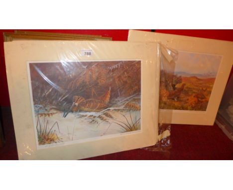 A set of six prints of game birds, unframed by C.S Todd  