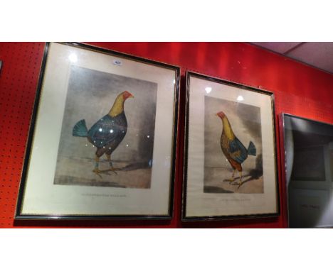 Prints, 19th century specimen cocks 54cm x 64cm 