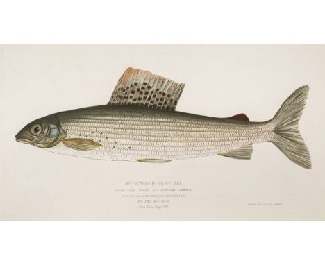 Pritt (T.E.). The Book of the Grayling: Being a Description of the Fish, and the Art of Angling for him, as Practised Chiefly