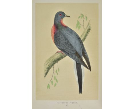 Morris (Rev. F.O.). A History of British Birds, six volumes, 1st edition, 1851 - 1857, title page to each volume, 358 coloure