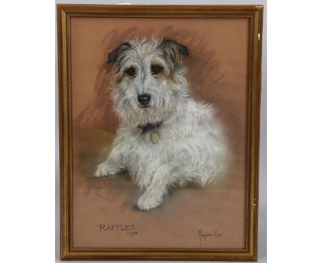 Marjorie Cox, portrait of a Terrier, Raffles, coloured pastels, signed and dated 1998, 41cm x 31cm, framedGood condition 