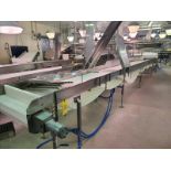 Belt Conveyor, approx. 27 ft. x 24 in., hydraulic driven, stainless steel frame [Loc. Packaging