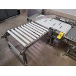 Motorized Belt Conveyor, approx. 50 in. x 20 in., stainless steel frame, w/ side roller conveyor,