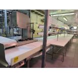 Cutting Table, w/ belt conveyors, and cutting boards, 32 positions, approx. 43 ft. x 32 in., overall