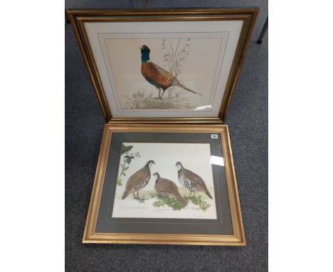 SIGNED PRINT RED LEGGED PARTRIDGES, TOGETHER WITH JOHN ROWLAND PRINT OF PHEASANT APPROX 17 X 13 '