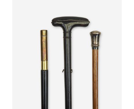 A group of three measure canes Various dates late 19th/early 20th century Comprising an English ebonized wood systems cane, t