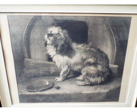 A Louis Wain framed print of cats playing cricket and a Victorian black and white print of a dog 