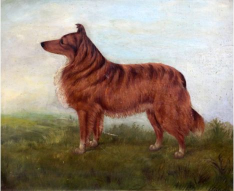 A. Stevenson (19th C.)oil on canvas,Portrait of a collie,signed and dated 1884,16 x 20in.