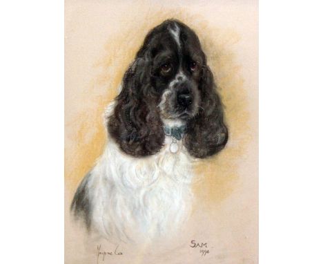 Marjorie Cox (20th C.)pastel,Portrait of a cocker spaniel 'Sam',signed and dated 1994.16.5 x 12.5in.