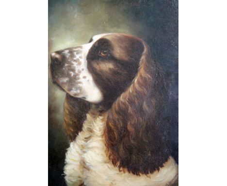 M. Brookeroil on wooden panel,Portrait of a spaniel,signed and dated 1954,14.5 x 10.25in., unframed