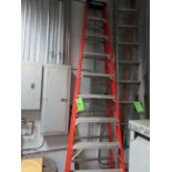 Werner 10' Ladder