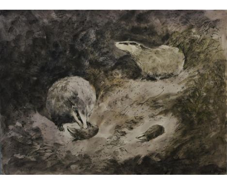 Jackanory, Ferret Summer,:  Gareth Floyd (b.1940)  Ten original hand drawn illustrations for the Children's BBC TV Series. Fe