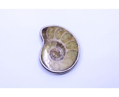 Unusual Sea Fossil Ammonite Unmarked White Metal Brooch  The Ammonite Fossil measures approx. 5cm max length and approx. 4cm 