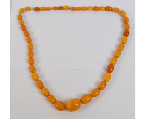 An egg yolk/butter scotch graduated amber bead necklace, length 74cm, approx 76g.