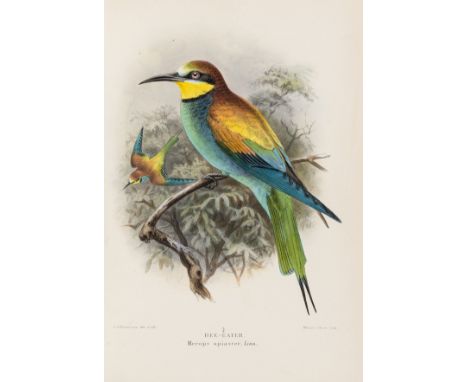 Birds.- Lilford (Thomas Littleton Powys, Baron) Coloured Figures of the Birds of the British Isles, 7 vol., second edition, l