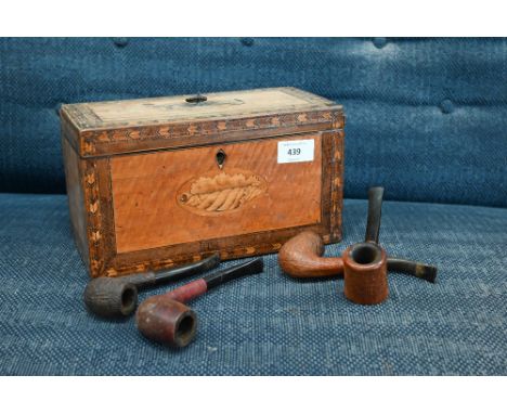 A Sheraton period satinwood tea caddy inlaid with oval shell marquetry medallion and feather banding, 25 cm wide (f/r) to/w v