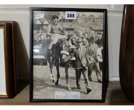     An Original Press Photograph Of The Queens Racehorse "Agreement" With Jockey Harry Carr, Winner Of The Chester Gold Cup, 