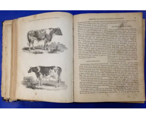 19th cent book 'An Improved System of Management of Live Stock & Cattle or A Practicle guide ......' by D W Dickson MD Vol 1