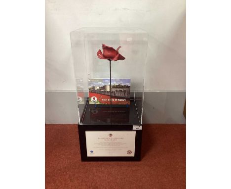 'Blood Swept Lands and Seas of Red' Ceramic Poppy, by Paul Cummings, with a certificate in a display case.