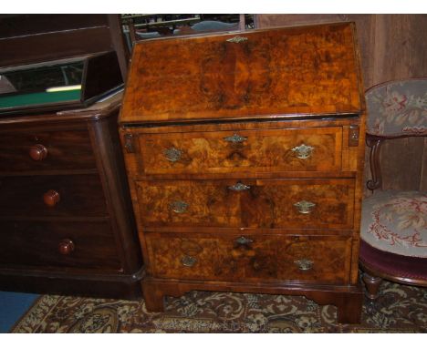 An elegant Edwardian small Walnut Bureau, cross banded throughout with well figured quarter burr Walnut veneered fall opening