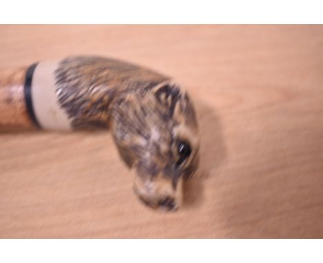 A walking stick with a cast resin head of an otter 143cm long