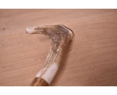 A hazel walking stick with antler handle, length approx. 125cm