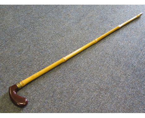 Late 19th Century Sword Walking Stick