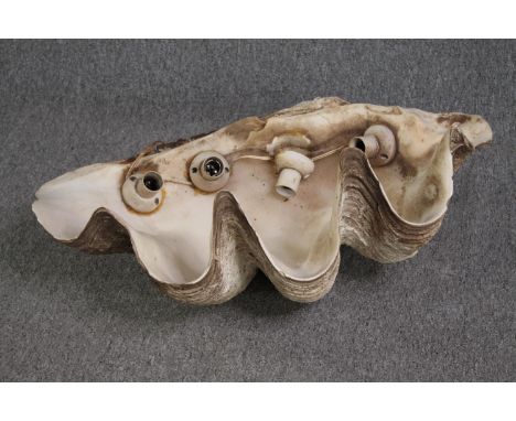 A Giant Clam (TRIDACNA GIGAS) half shell with light fittings attached to the rim. L.70 W.45 cm. 47kg.