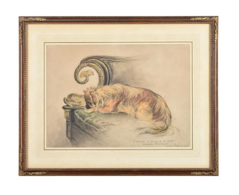 French school (20th century)Study of a Pekingese dog resting on a renaissance revival sofa Charcoal and coloured chalkIndisti