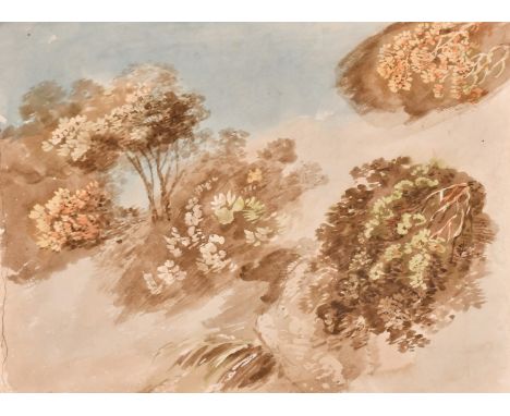 Circle of J. M. W. Turner, studies of foliage, watercolour, with colour tests and instructions on technique verso, 7" x 9.25"