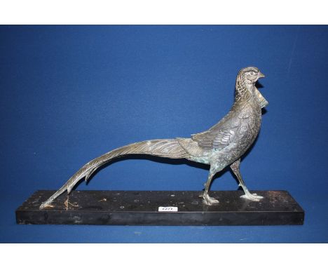 A spelter model of a Pheasant on a marble base, 18 1/2'' head to tail, 11'' high