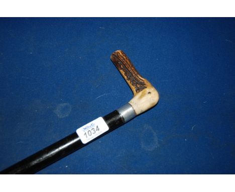 A horn topped Walking Stick with white metal band