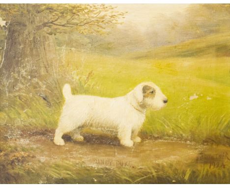 HENRY CROWTHER (fl.1905 - 1939) Framed, signed, dated 1924, titled 'Dandy Duke', oil on canvas, portrait of a terrier dog, 30