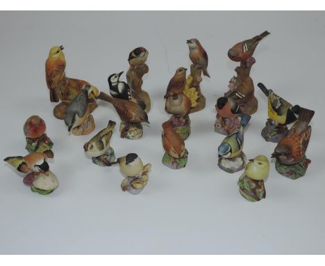 Quantity of Bone China Royal Worcester Bird Ornaments 